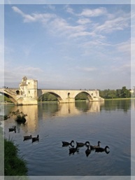 Pont d'Avignon.jpg
